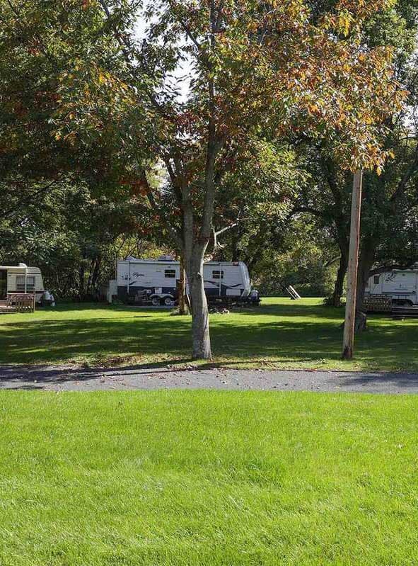 Le Camping de l'Ours