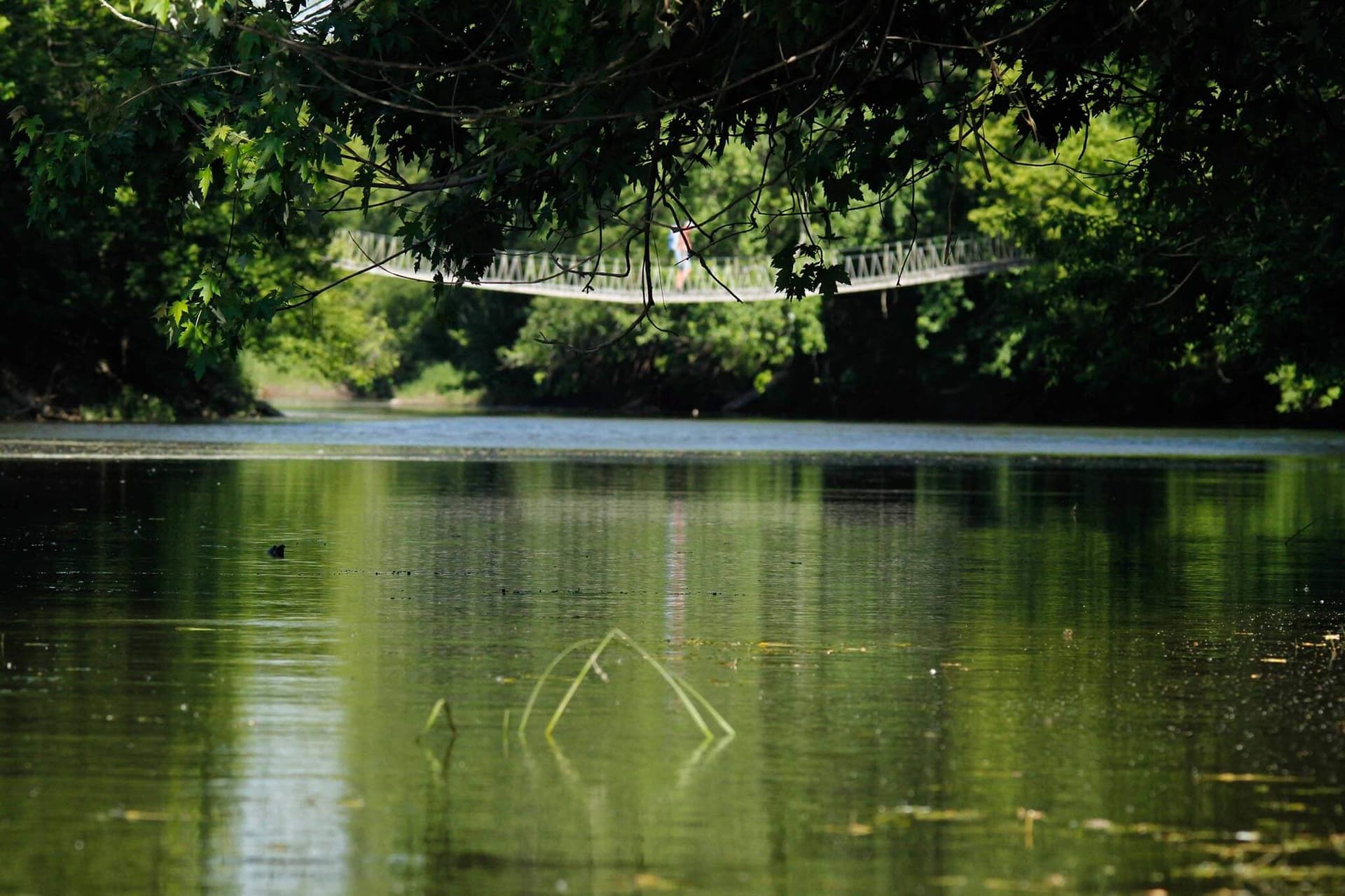 Un environnement exceptionnel